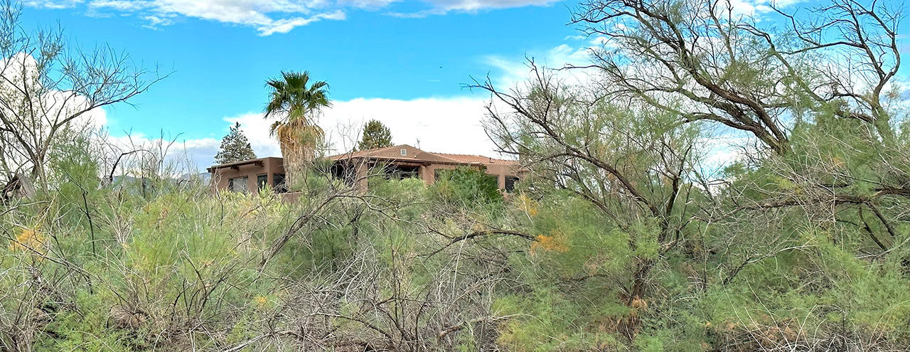 Reducing fire risk from Tamarisk close to homes